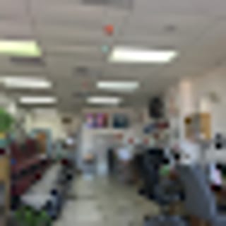USA's Nail bar