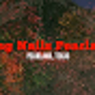 King Nails Pearland