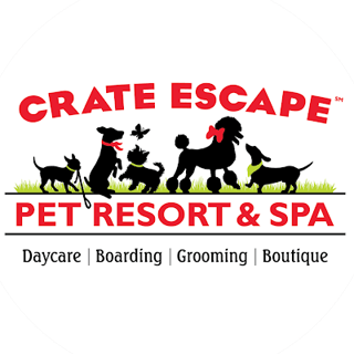 Crate Escape Resort