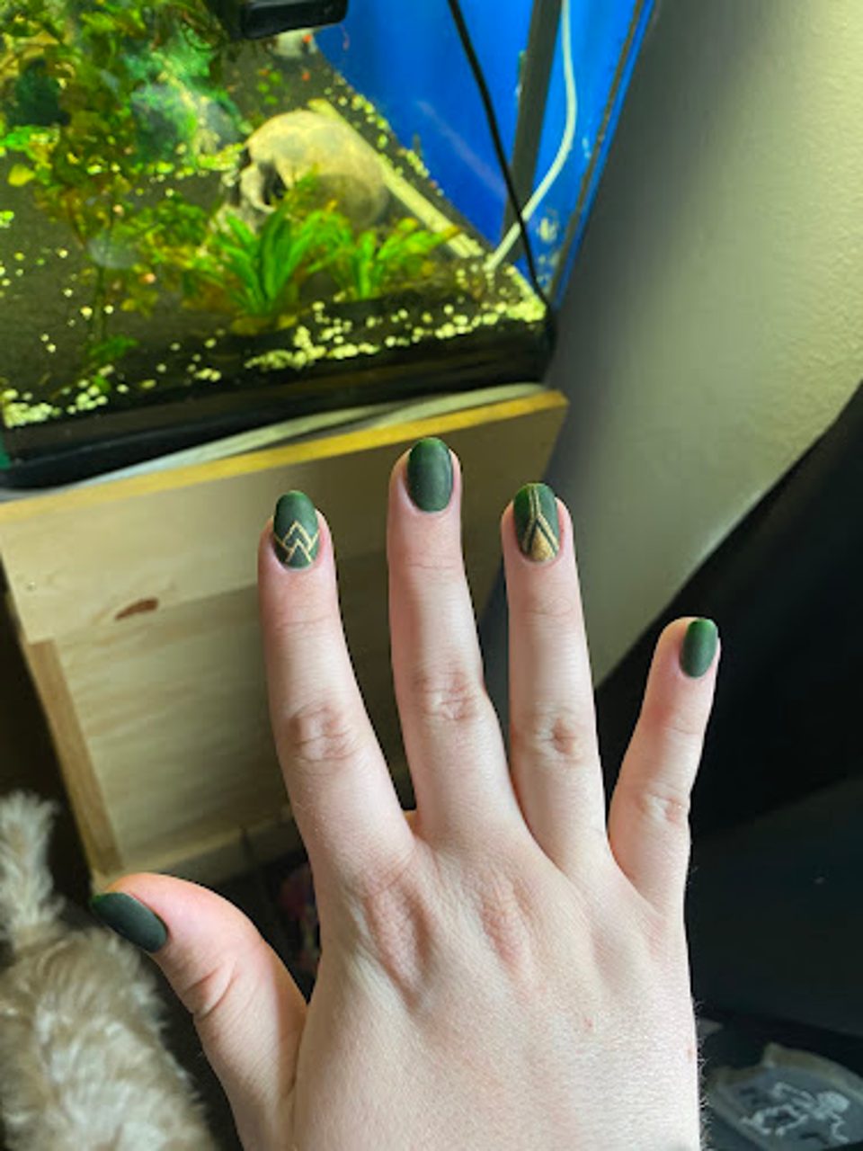 Boujee Salon and Spa photo 1