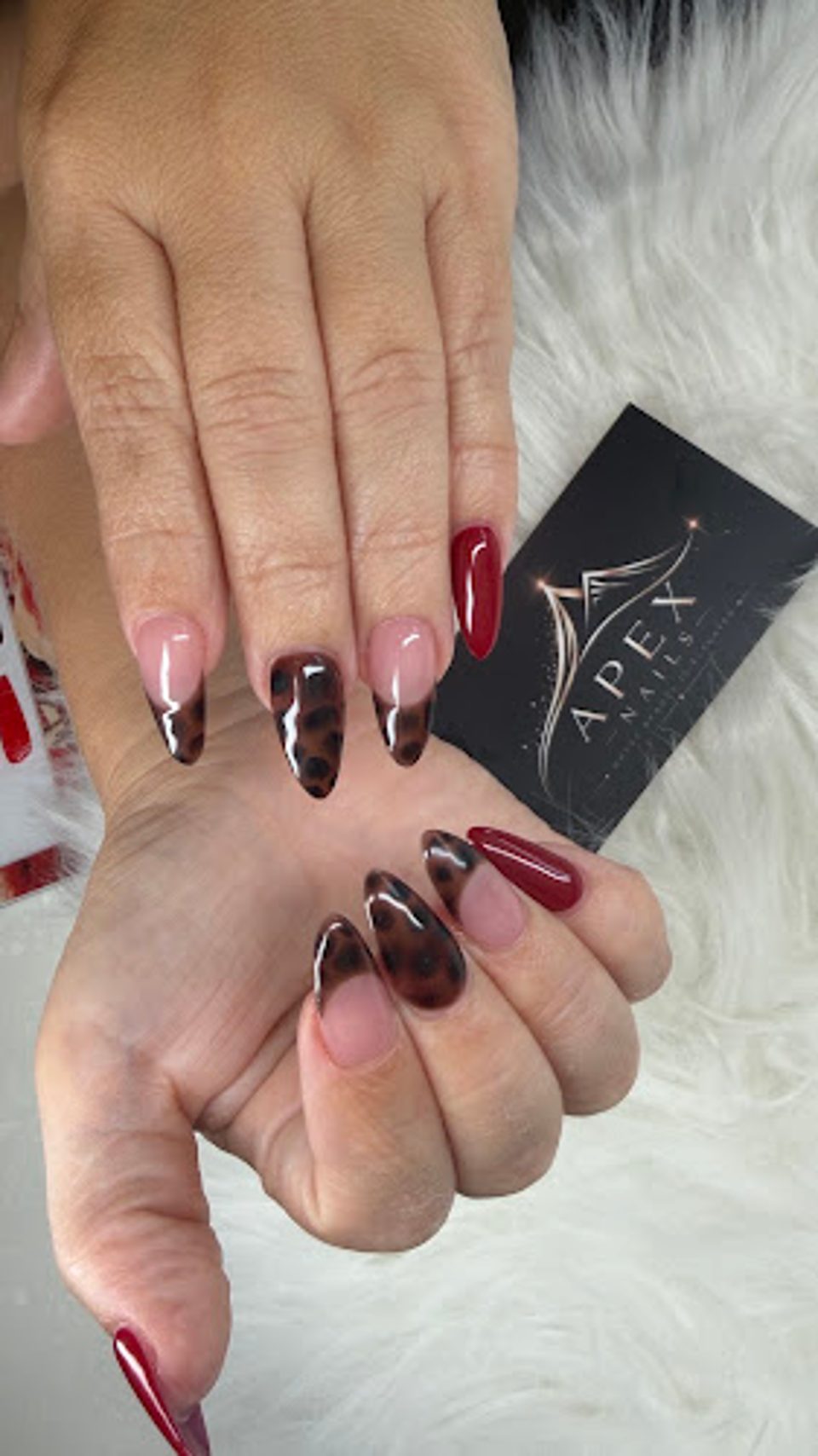 Apex Nails Lehi photo 1