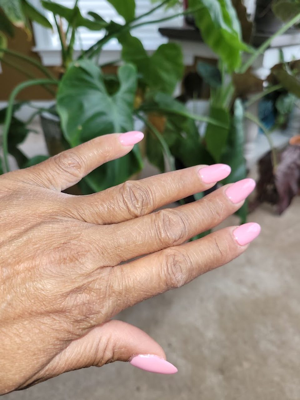 KC Nails & Spa photo 1