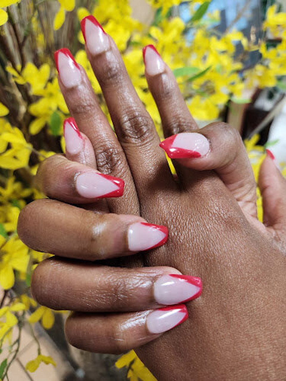 TD Nails 2 photo 1