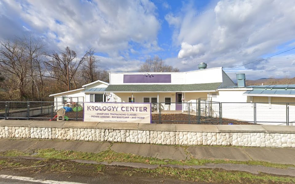 Aspirations Pet Services photo 1