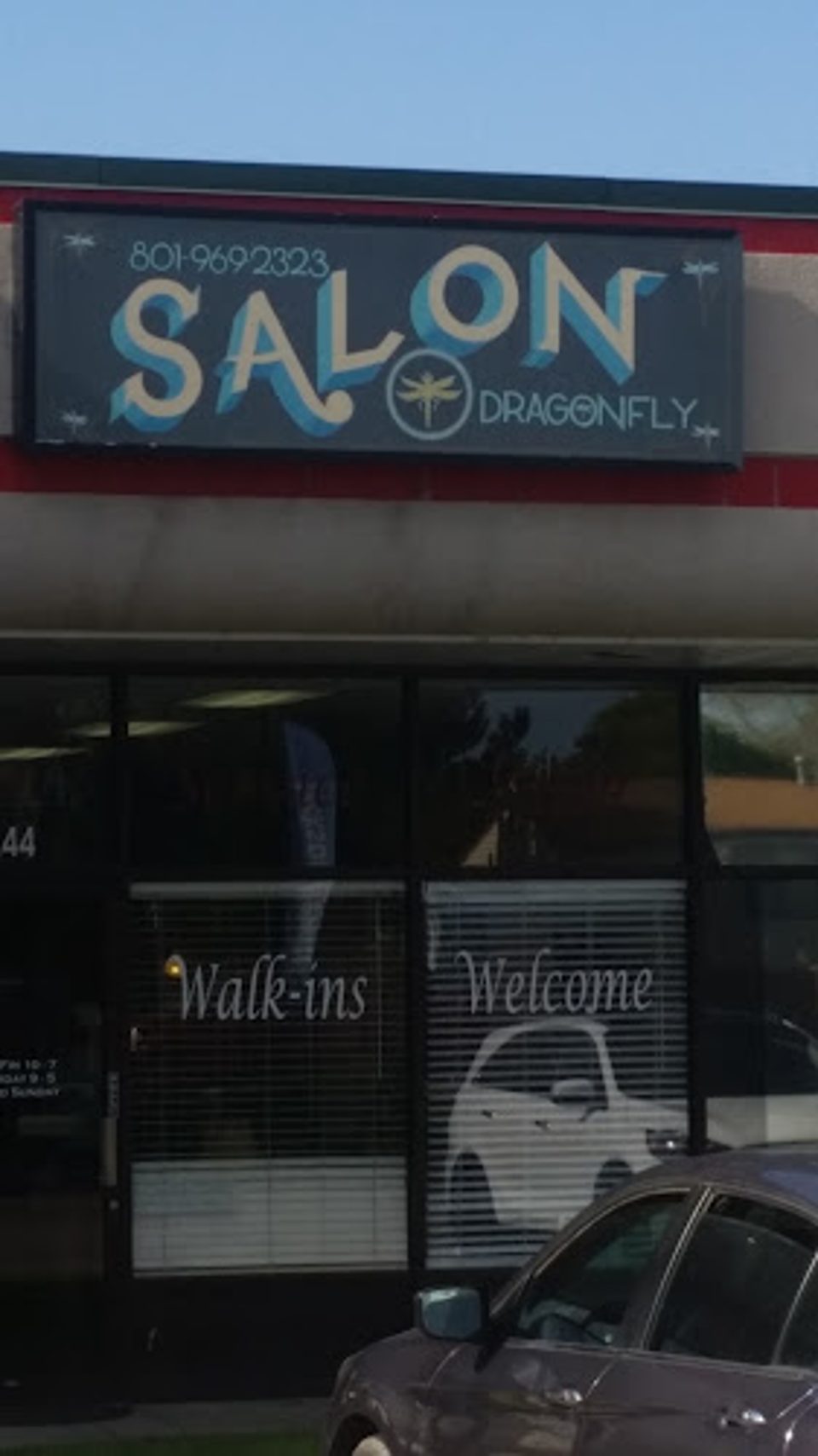 Salon Dragonfly photo 1
