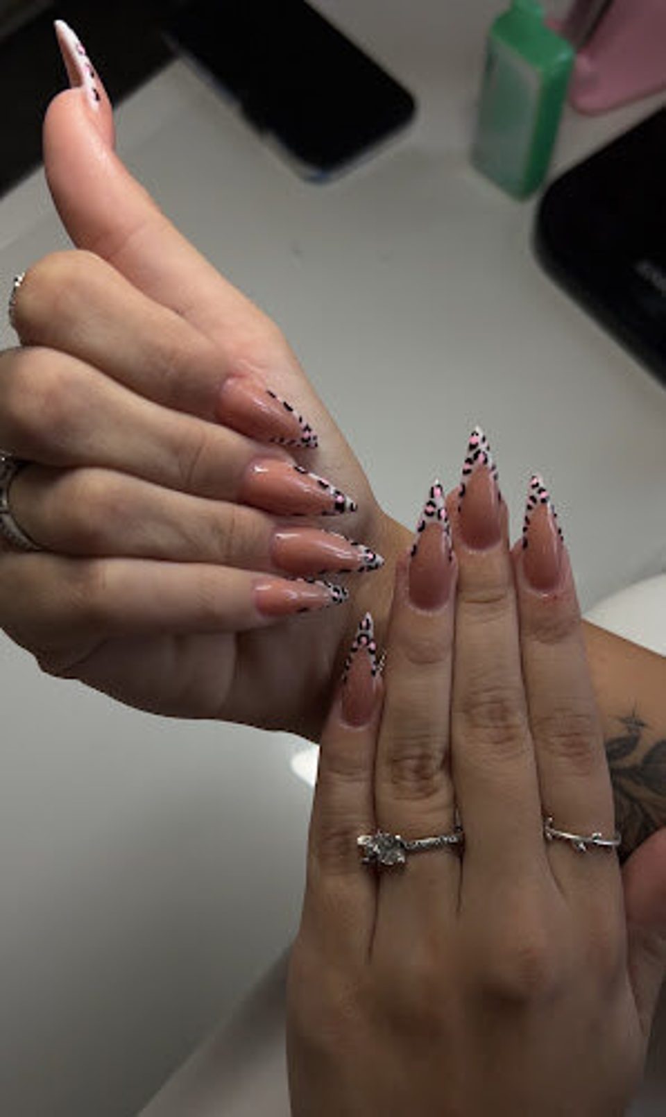 Lashed & Polished photo 1
