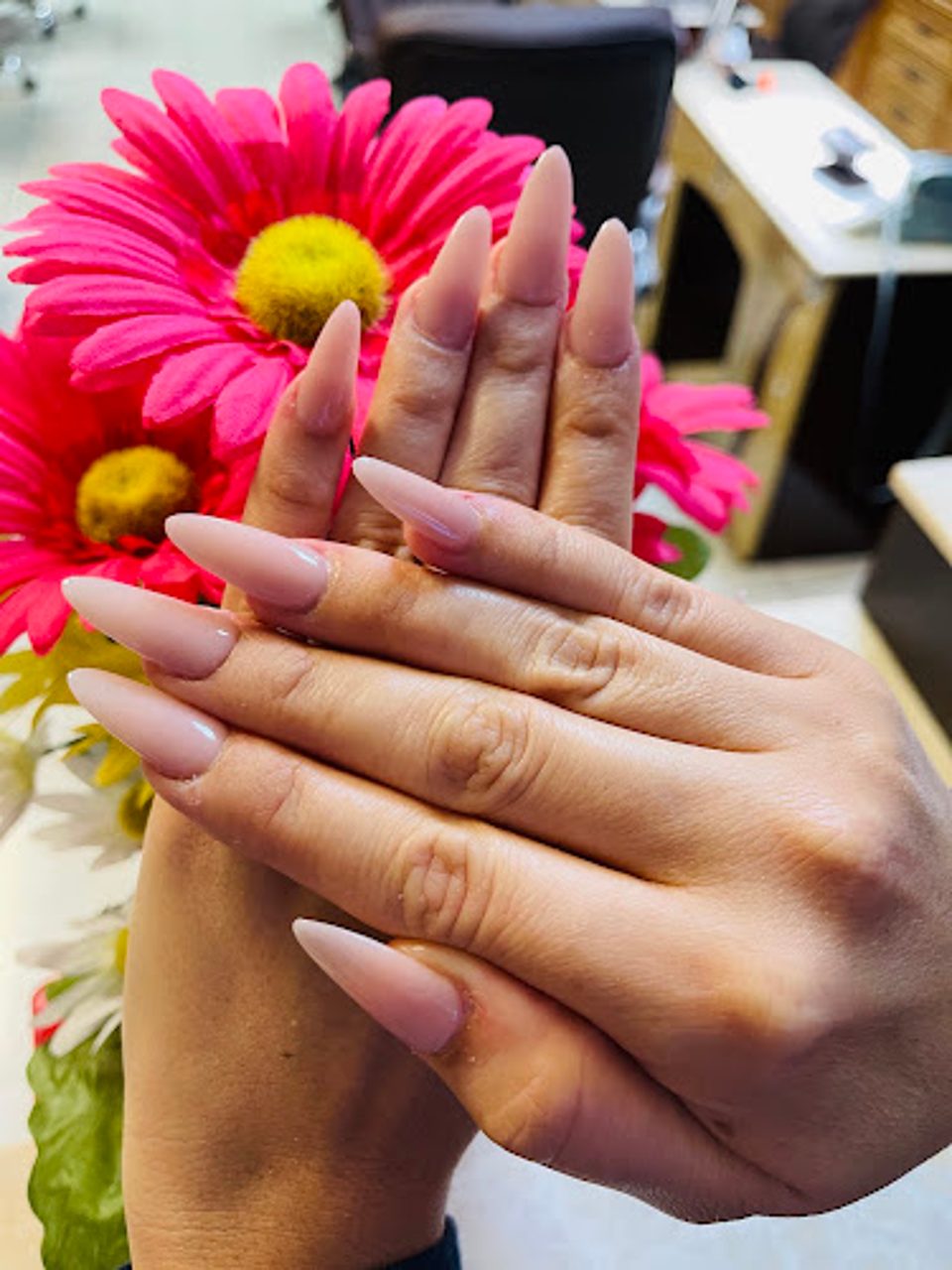 Alamo Nails photo 1