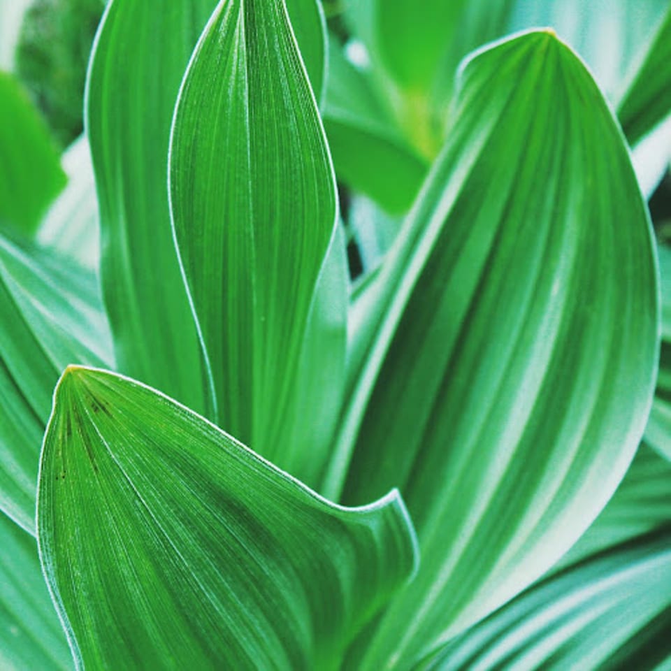 H+Aesthetics photo 1