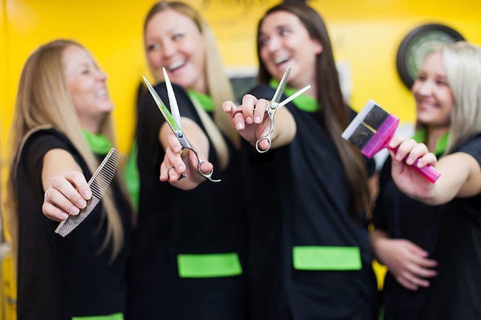 Brush Bath and Beyond - Pet grooming with love - Salt Lake City photo 1