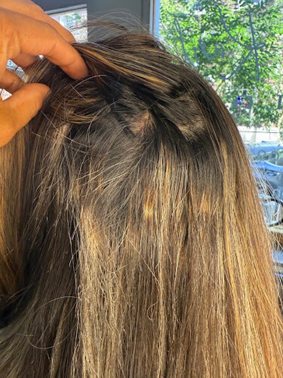 South Tampa Salon photo 1