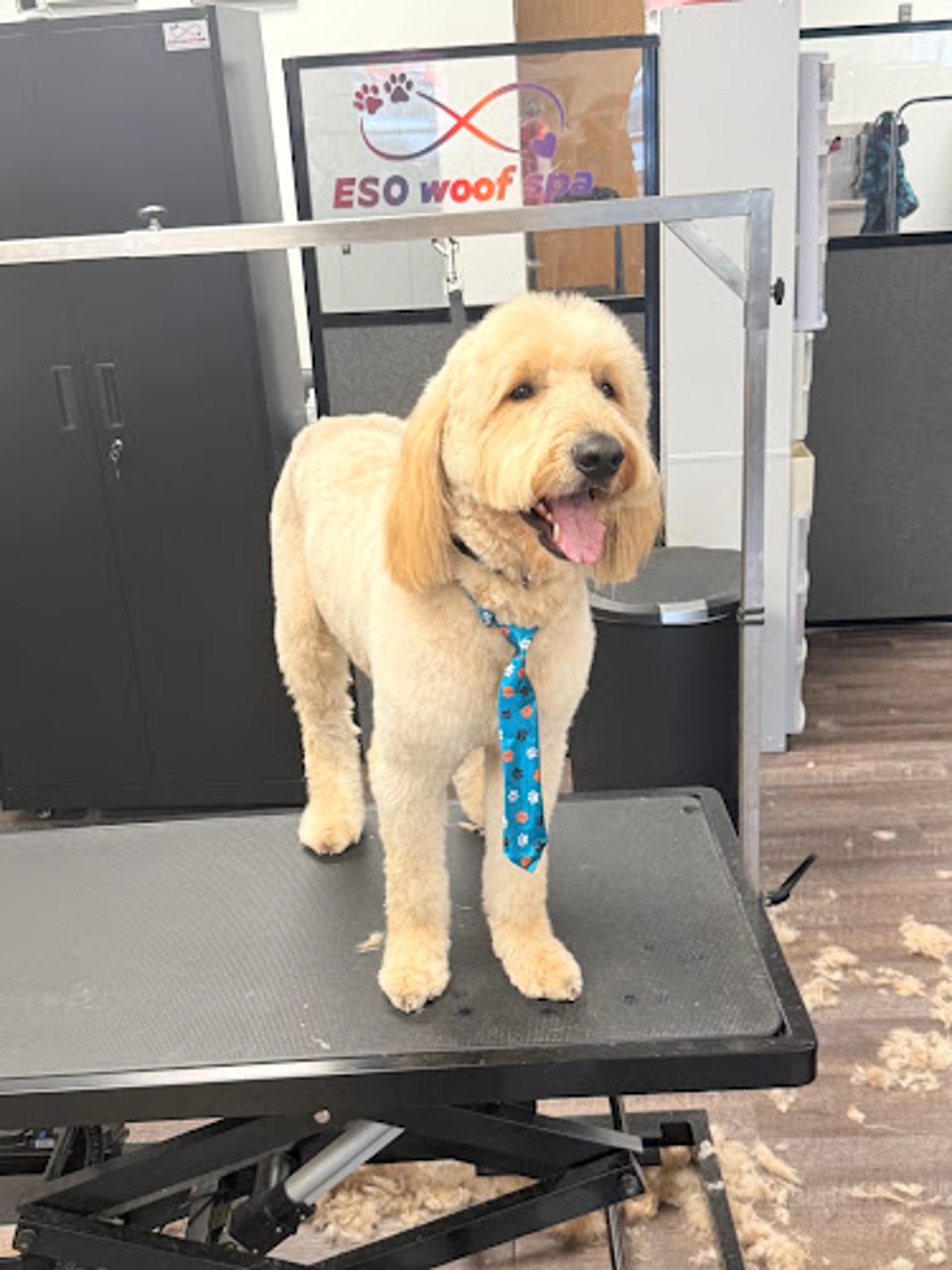 ESO Woof Spa LLC photo 1