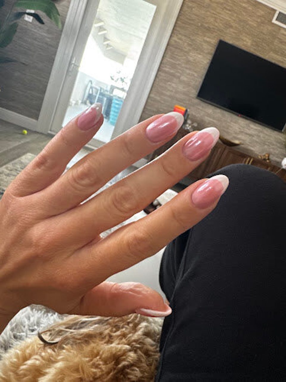 The Tampa Nail Collective photo 1