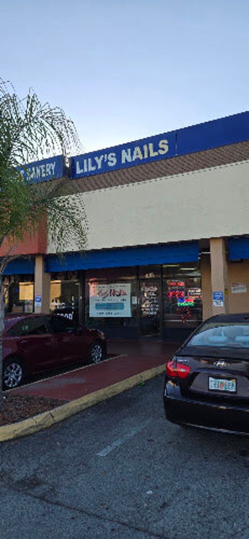 Lily nails photo 1