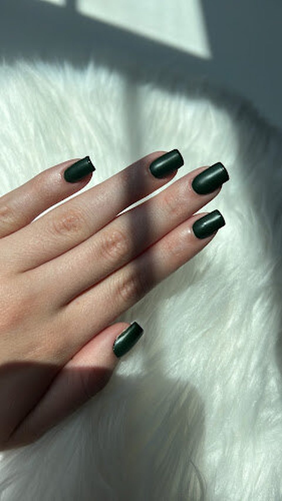 Aline Grativol Hair photo 1
