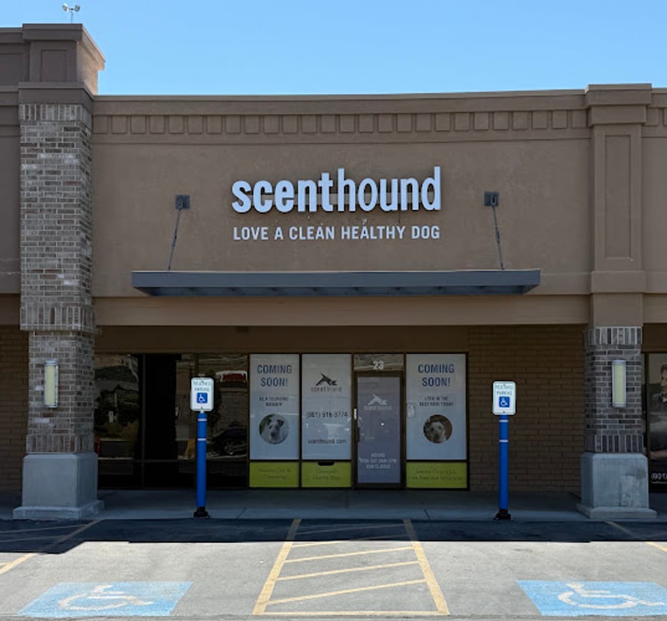 Scenthound Provo University photo 1