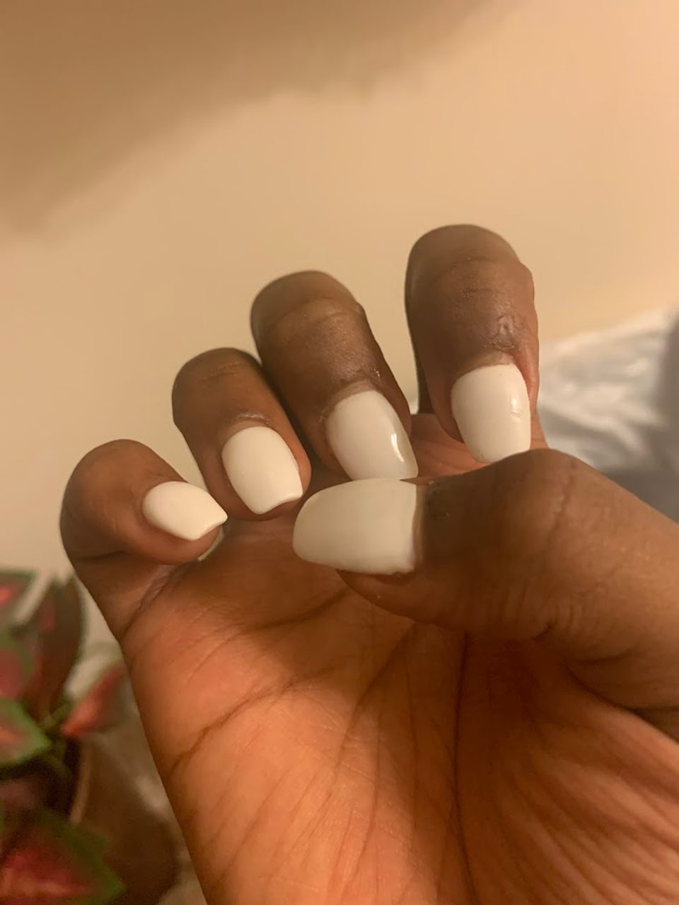 Special Nails photo 1