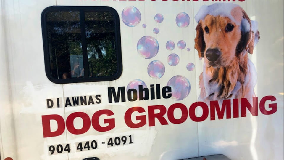Di’Awna’s Doggie Spa LLC photo 1